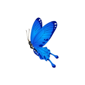 Navy Butterfly